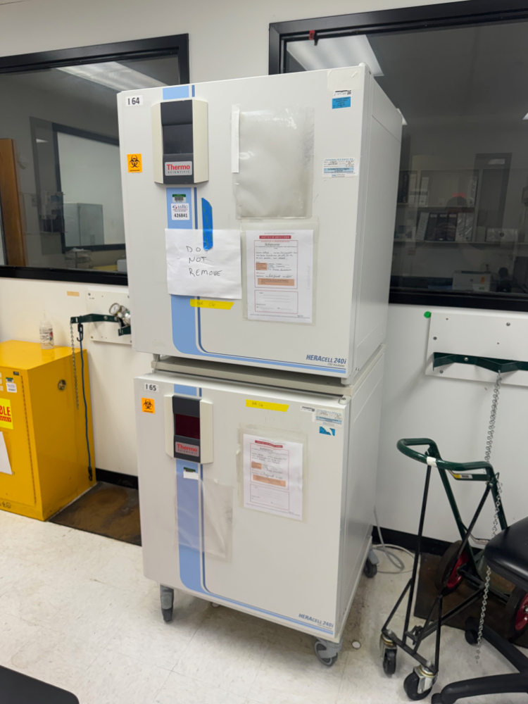 Image of Thermo HERAcell 240i Double Stack CO2 Incubator